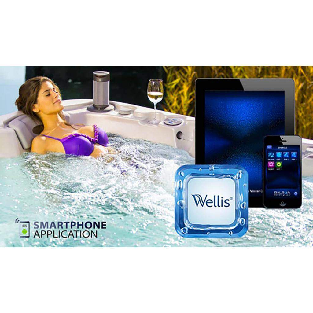 prilozhenie-dlya-smartfona-s-wifi-podklyucheniem-wellis-smartphone-application-03.jpg