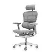 Ортопедическое кресло Falto Ergohuman Luxury 2 Серое